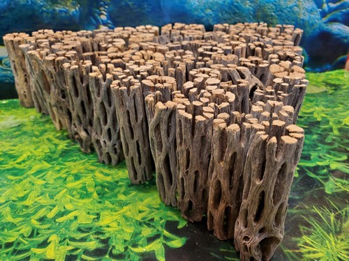 100 pieces cholla wood - pieces,
