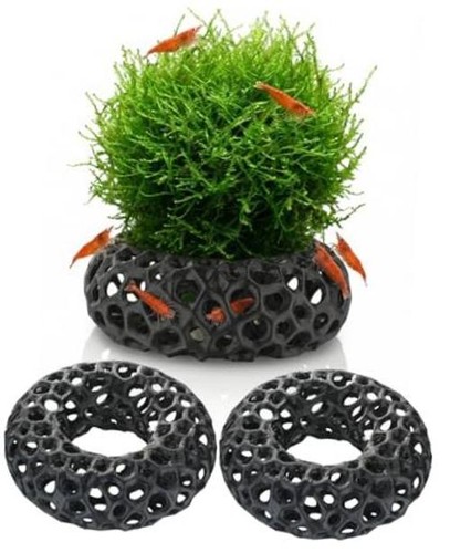 Shrimp cave for fish - cave,